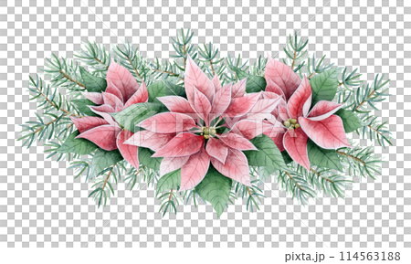 Pine branches with poinsettia Christmas flowers in pink and green colors watercolor illustration isolated on white in retro vintage style. Winter holidays bouquet for horizontal greeting banner 114563188