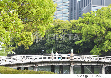 緑に囲まれた皇居平川橋 114563588