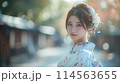 観光を楽しむ着物の女性 114563655