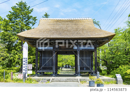 新緑の陸奥国分寺薬師堂 新緑の陸奥国分寺薬師堂 114563873
