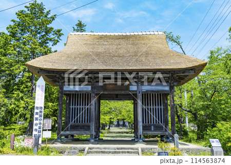 新緑の陸奥国分寺薬師堂 114563874