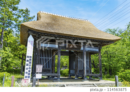 新緑の陸奥国分寺薬師堂 114563875