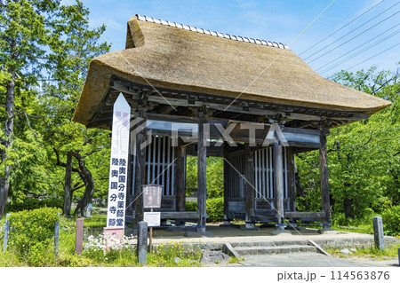 新緑の陸奥国分寺薬師堂 114563876