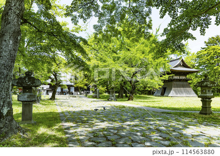 新緑の陸奥国分寺薬師堂 新緑の陸奥国分寺薬師堂 114563880