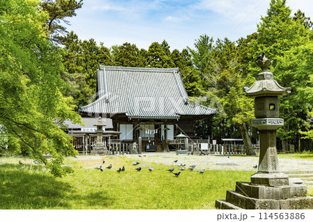 新緑の陸奥国分寺薬師堂 新緑の陸奥国分寺薬師堂 114563886