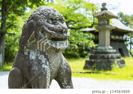 新緑の陸奥国分寺薬師堂 新緑の陸奥国分寺薬師堂 114563889