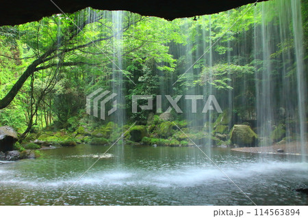 新緑の鍋ヶ滝(熊本県小国町) 新緑の鍋ヶ滝(熊本県小国町) 114563894