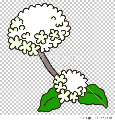 Odemari Odemari 114564316