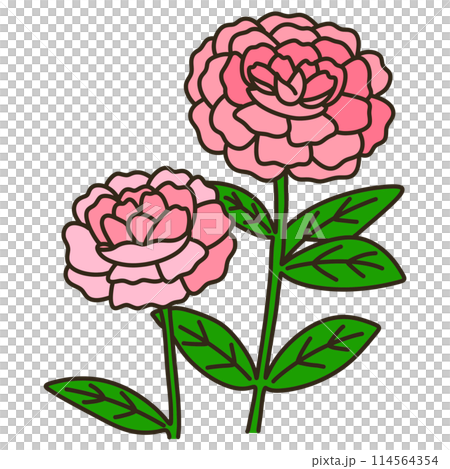 牡丹根 牡丹根 114564354