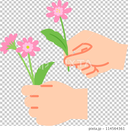 手拿著一朵採摘的花 114564361