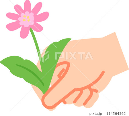花を摘む手のイラスト素材 [114564362] - PIXTA