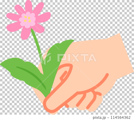 手摘花 114564362