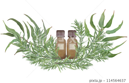 ローズマリーとユーカリと精油の瓶・精油＆アロマ・芳香植物 114564637