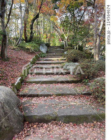 広島空港三景園の石段(秋の風景) 広島空港三景園の石段(秋の風景) 114564674