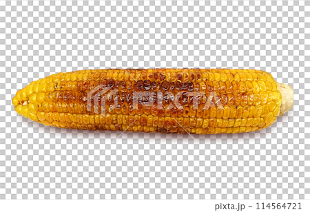 Grilled corn illustration realistic white background 114564721