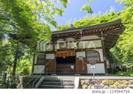京都　新緑に包まれた地蔵院（竹寺）　本堂 114564756