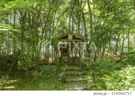 京都　新緑に包まれた地蔵院（竹寺）　開福稲荷大明神 114564757