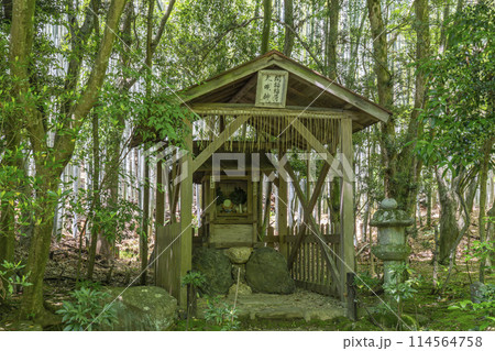 京都 新緑に包まれた地蔵院(竹寺) 開福稲荷大明神 京都 新緑に包まれた地蔵院(竹寺) 開福稲荷大明神 114564758