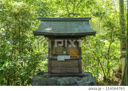 京都　新緑に包まれた地蔵院（竹寺）　弁財天 114564763