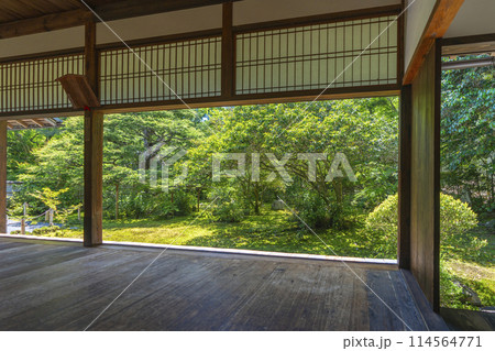京都　地蔵院（竹寺）　方丈庭園　十六羅漢の庭 114564771