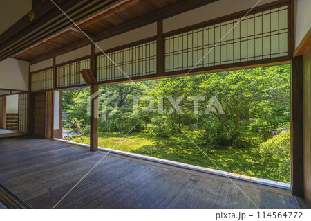 京都　地蔵院（竹寺）　方丈庭園　十六羅漢の庭 114564772