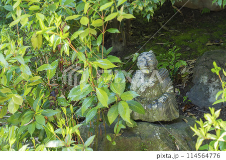 京都　地蔵院（竹寺）　方丈庭園　十六羅漢の庭 114564776