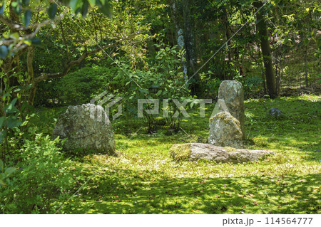 京都　地蔵院（竹寺）　方丈庭園　十六羅漢の庭 114564777