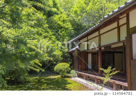 京都　地蔵院（竹寺）　方丈庭園　十六羅漢の庭 114564781