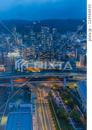 神戸ポートタワーから見る夜の六甲山系 114564810