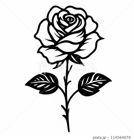 バラの花の線画のイラスト素材 [114564878] - PIXTA