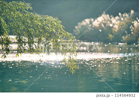 キラキラ 114564932