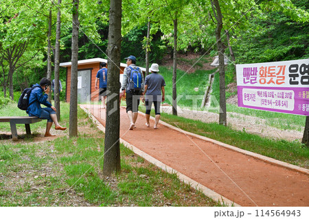 裸足で歩く公園の黄土道 裸足で歩く公園の黄土道 114564943