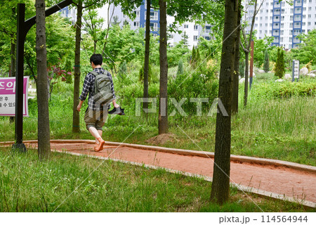 裸足で歩く公園の黄土道 裸足で歩く公園の黄土道 114564944