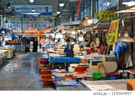 光州 良洞水産市場の風景【韓国光州広域市】 光州 良洞水産市場の風景【韓国光州広域市】 114564957