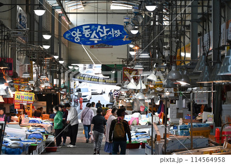 光州　良洞水産市場の風景【韓国光州広域市】 114564958
