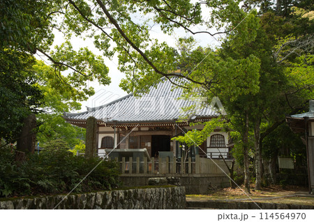 補陀落山寺(本堂) 【和歌山県那智勝浦町】 補陀落山寺(本堂) 【和歌山県那智勝浦町】 114564970