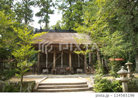 熊野三所大神社（本殿）　【和歌山県那智勝浦町】 114565196