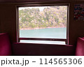 大井川鉄道井川線 114565306