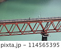 鉄橋を渡る人 114565395