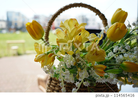 Beautiful bouquet of yellow tulips in a wicker basket 114565416