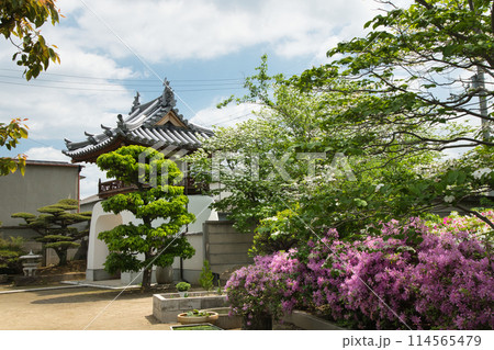 法雲寺(南門)　【大阪府堺市美原区】 114565479