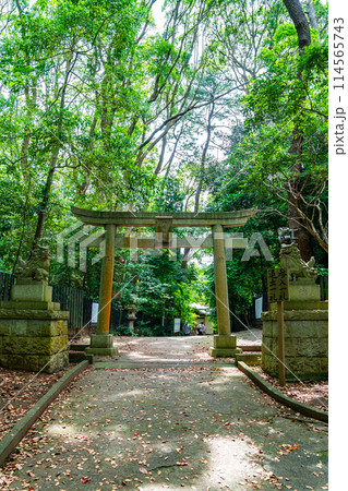 【神奈川県】豊かな自然に囲まれた平塚八幡宮 【神奈川県】豊かな自然に囲まれた平塚八幡宮 114565743