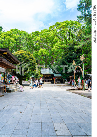 【神奈川県】豊かな自然に囲まれた平塚八幡宮 【神奈川県】豊かな自然に囲まれた平塚八幡宮 114565766