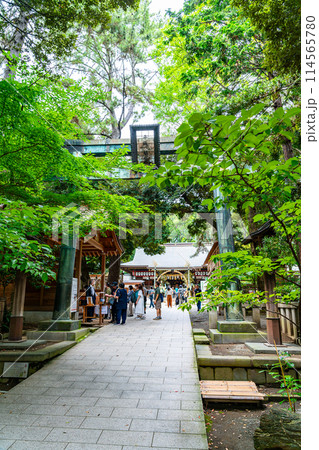 【神奈川県】豊かな自然に囲まれた平塚八幡宮 114565780
