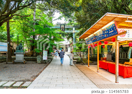 【神奈川県】豊かな自然に囲まれた平塚八幡宮 114565783