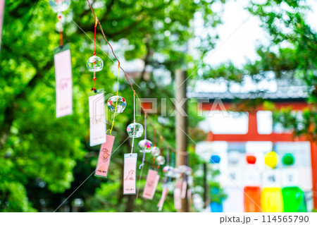 【神奈川県】平塚八幡宮に並んだたくさんの風鈴 114565790