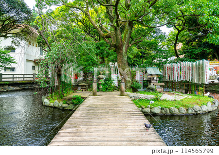 【神奈川県】立派な樹木がある平塚八幡宮の東御池 【神奈川県】立派な樹木がある平塚八幡宮の東御池 114565799