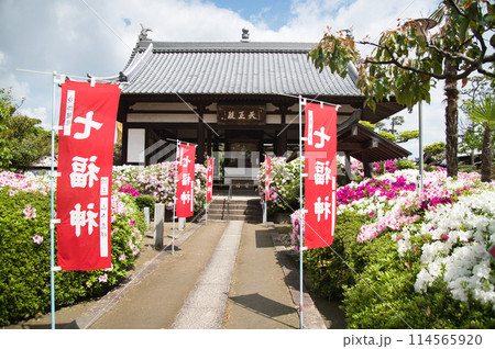 法雲寺(天王殿)　【大阪府堺市美原区】 114565920