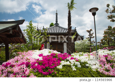 法雲寺(六角堂)　【大阪府堺市美原区】 114565966