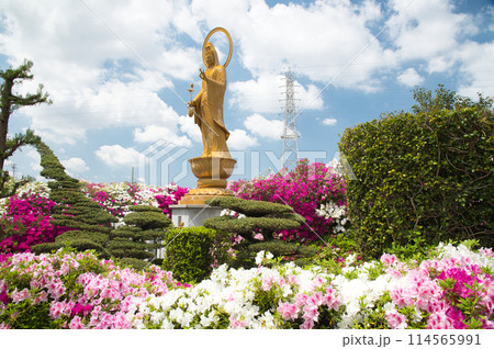 法雲寺(厄除け観音)　【大阪府堺市美原区】 114565991